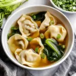 Chicken Wonton Soup